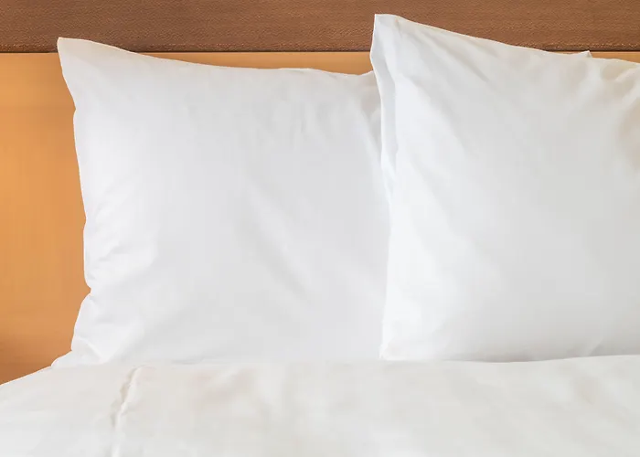 Holiday Inn Express Hotel And Suites Brownsville By Ihg